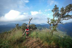 BIB: 
                            <button type="button" onclick="openModal(22373583)" class="btn btn-primary btn-sm float-right btn-popup" data-toggle="modal" data-target=".modal-high-quality">
                        <i class="fas fa-shopping-cart"></i> Add to Cart
                    </button>
                                            <button type="button" onclick="isThisMe(22373583, true)" class="btn btn-success btn-sm float-right btn-popup btn-isme hidden" data-toggle="tooltip" data-placement="bottom" title="นี่คือรูปของคุณใช่ไหม คลิกที่นี่เพื่อเอาเข้าอัลบั้ม">
                        <i class="fas fa-plus"></i> Add to album
                    </button>
                    <button type="button" onclick="isThisMe(22373583, false)" class="btn btn-warning btn-sm float-right btn-popup btn-isnotme hidden">
                        <i class="fas fa-ban"></i> Remove from album
                    </button>